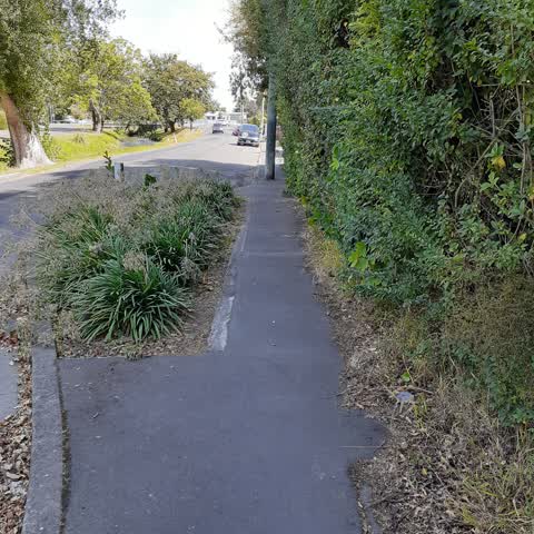 Roading/Streets, a report photo