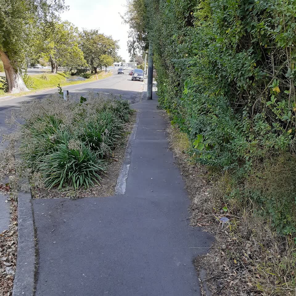 The photograph attached to this roading/streets report