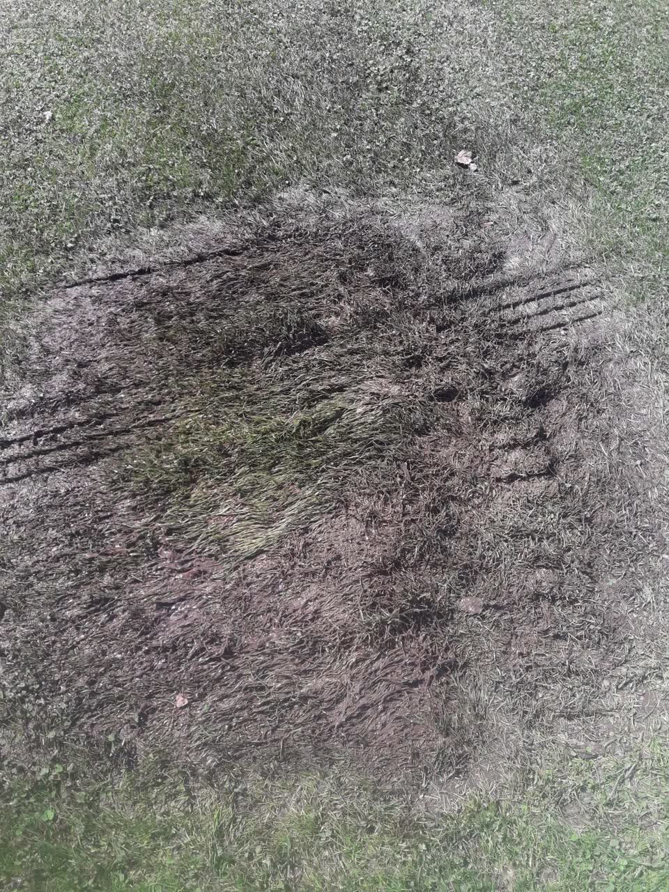 The photograph attached to this parks report