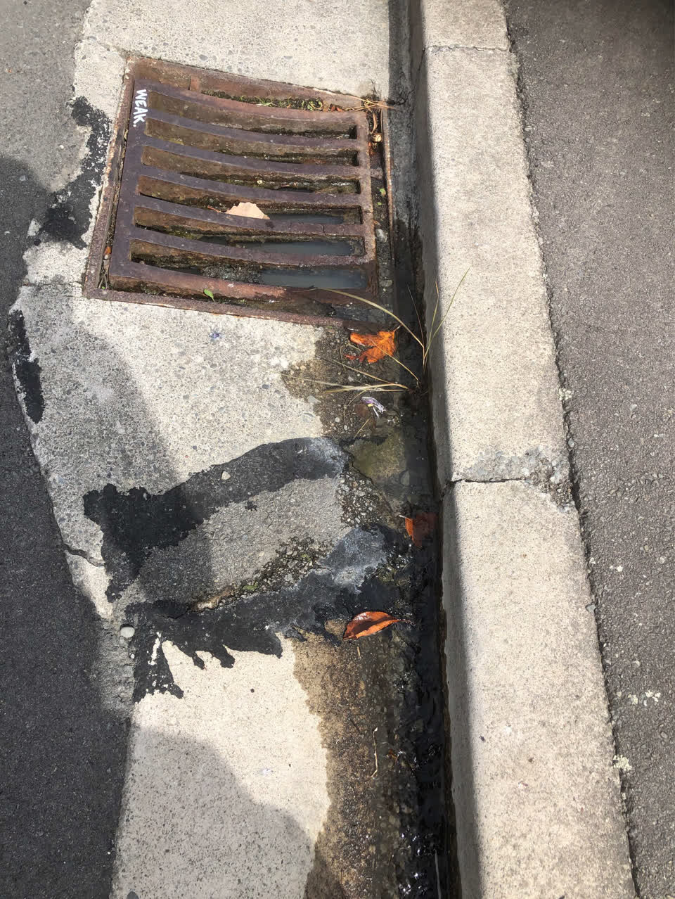 The photograph attached to this water leak report