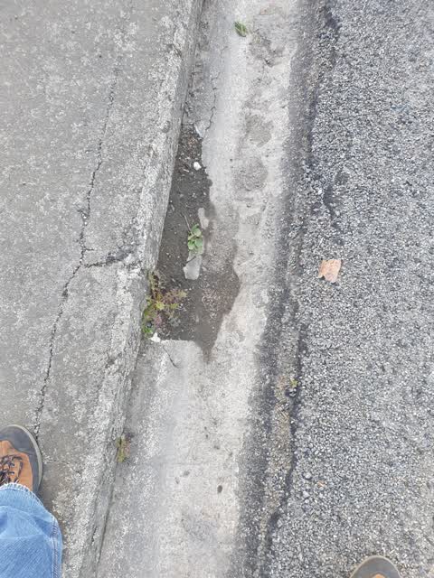 Roading/Streets, a report photo