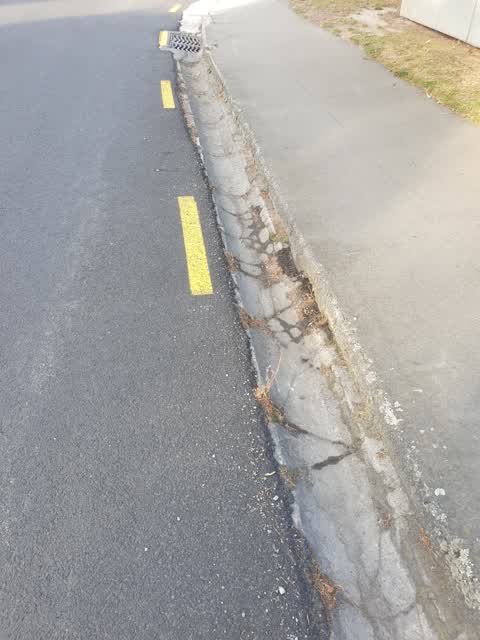Roading/Streets, a report photo