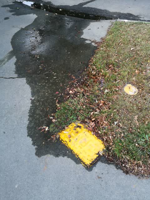Water Leak, a report photo