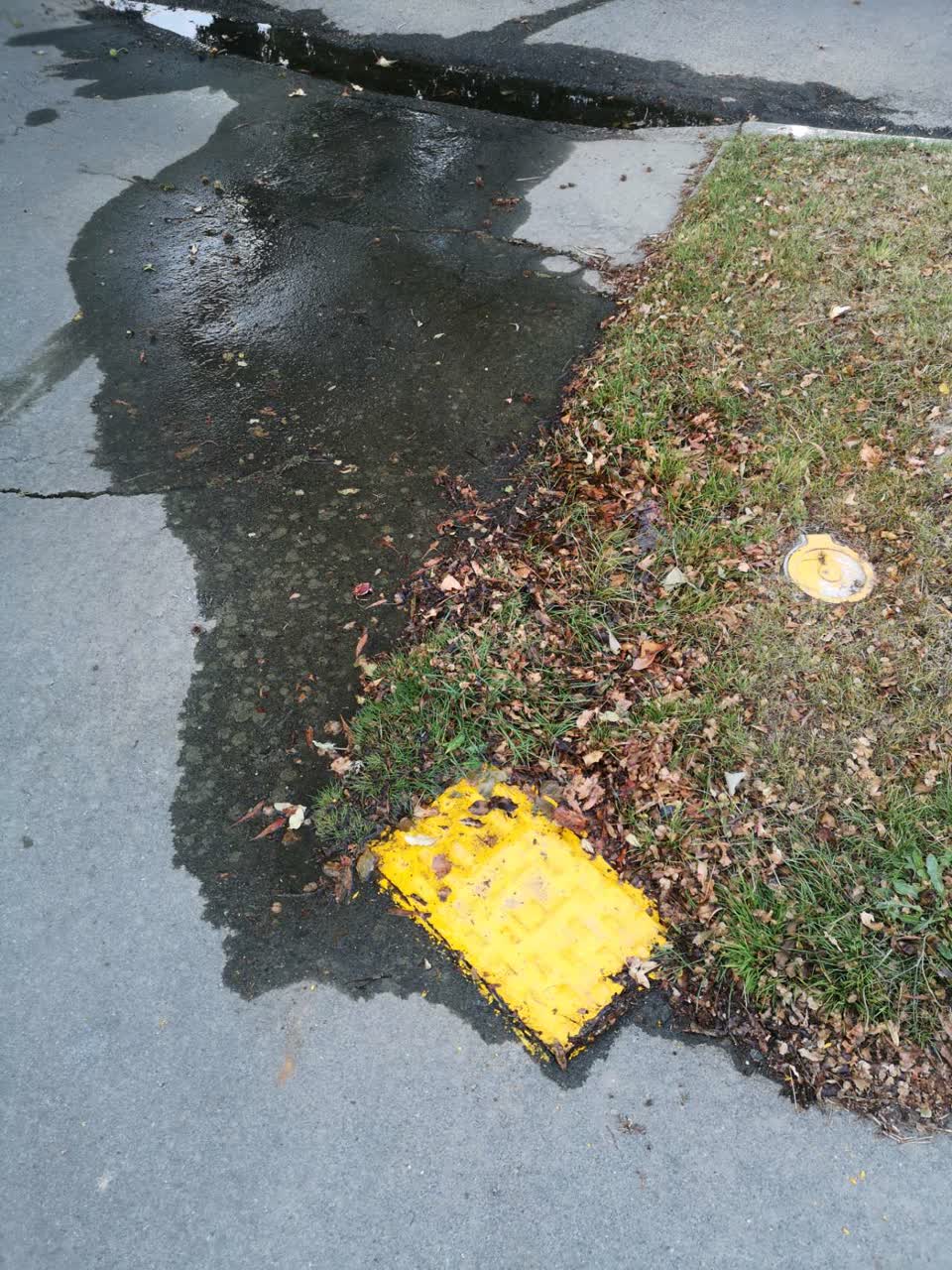 The photograph attached to this water leak report
