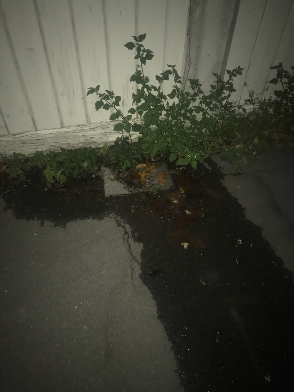 The photograph attached to this water leak report