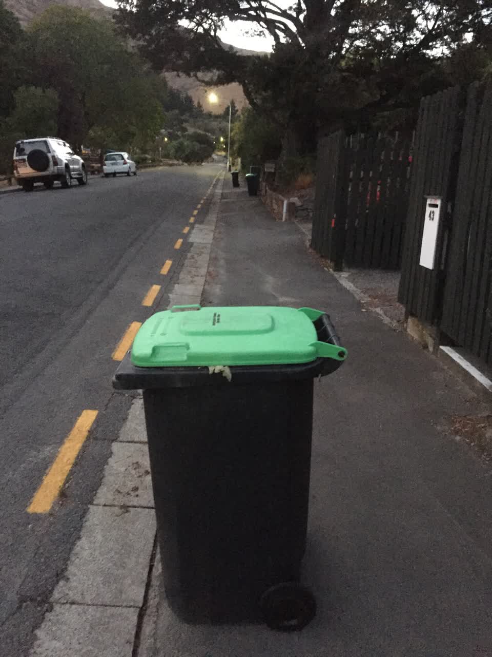 The photograph attached to this rubbish/recycling report