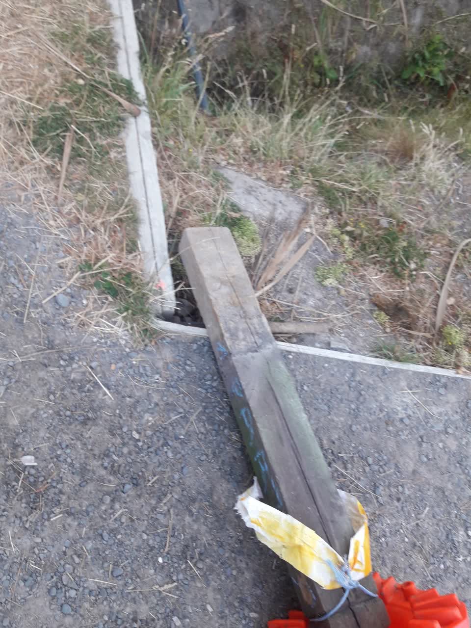 The photograph attached to this parks report