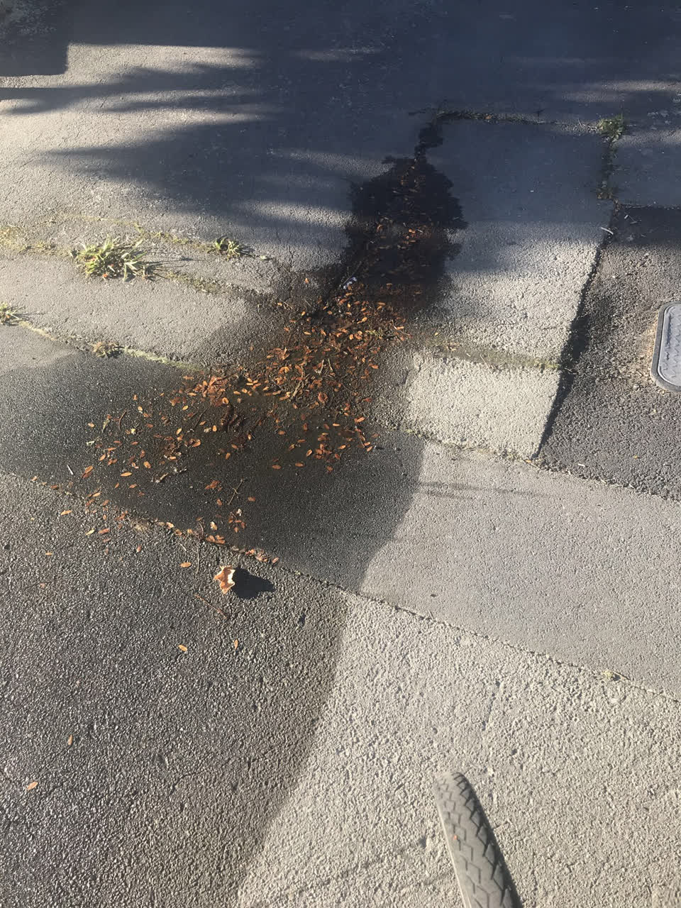 The photograph attached to this water leak report