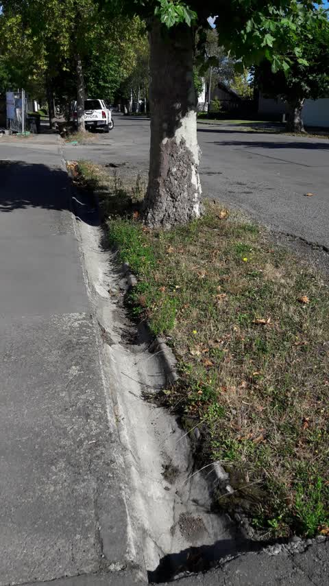 Roading/Streets, a report photo