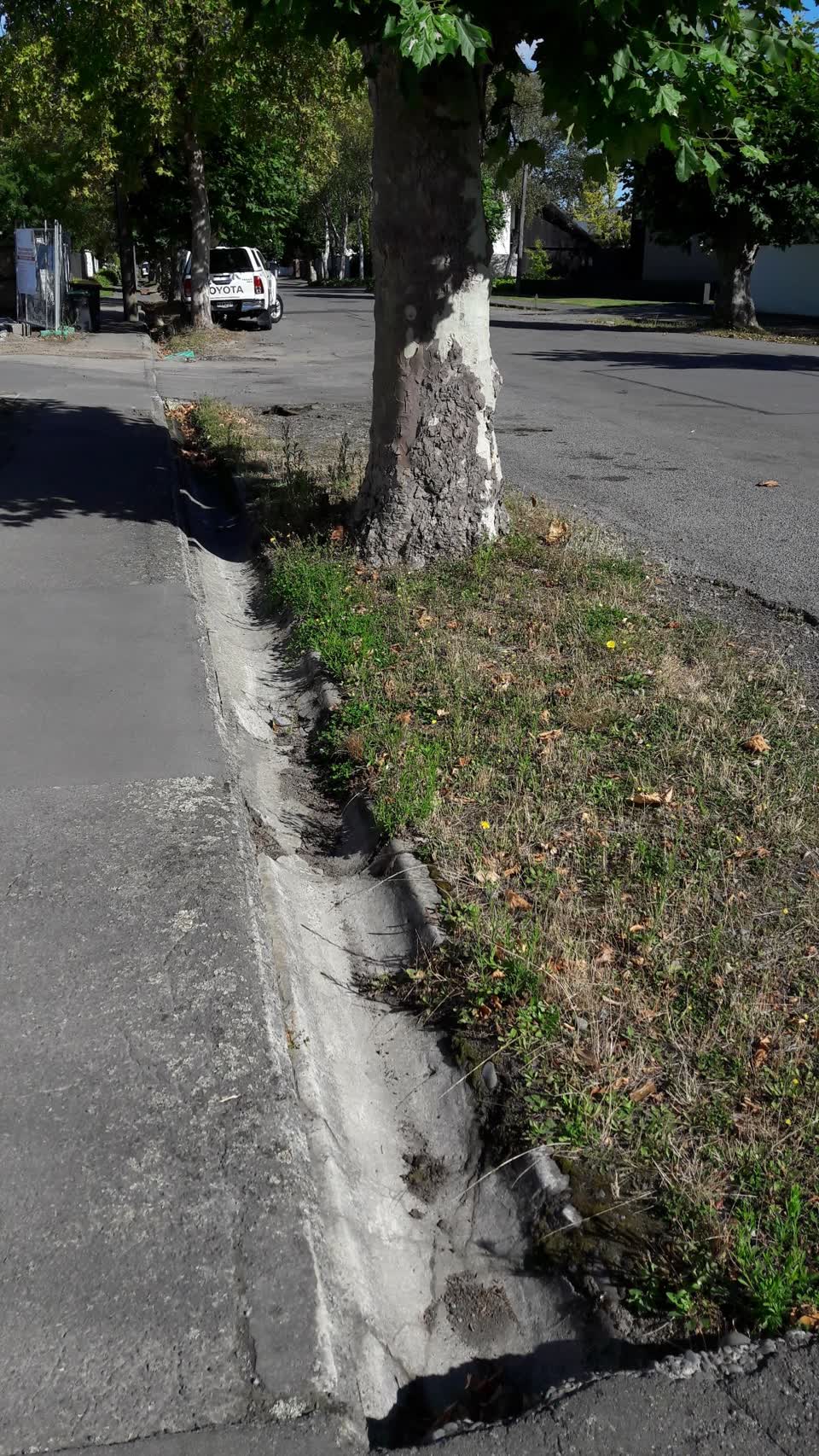 The photograph attached to this roading/streets report
