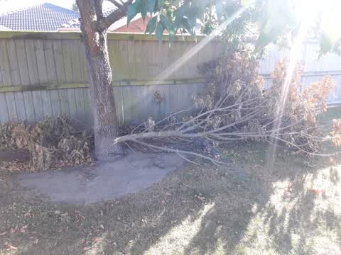Parks, a report photo