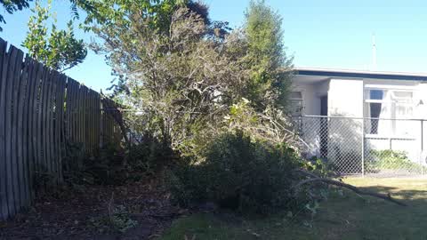 Parks, a report photo