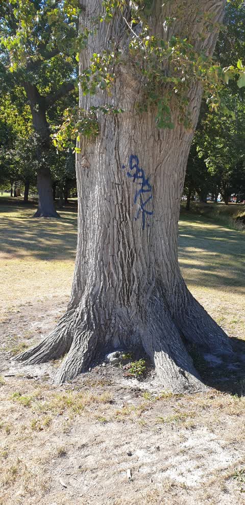Graffiti, a report photo