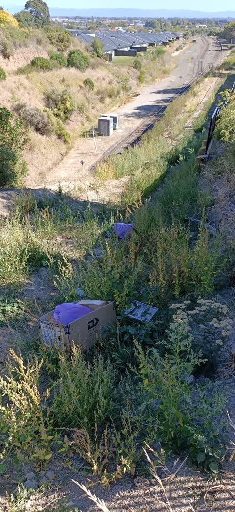 Rubbish/Recycling, a report photo