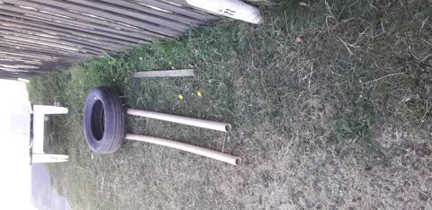 Rubbish/Recycling, a report photo