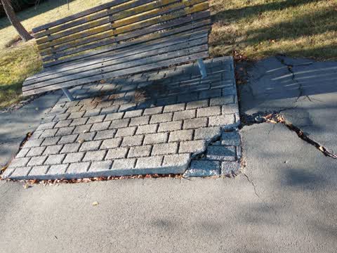 Parks, a report photo