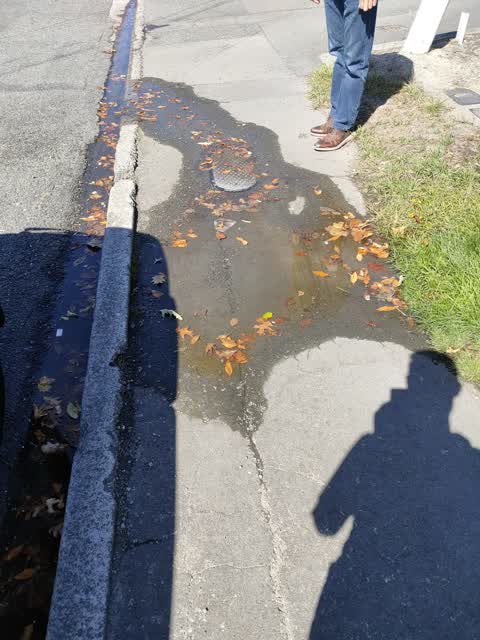Water Leak, a report photo