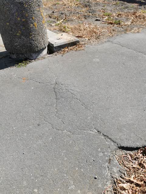 Roading/Streets — a report photo
