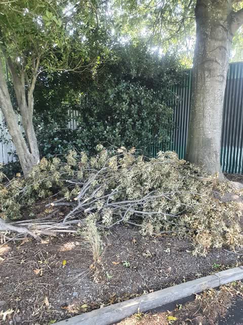 Parks — a report photo