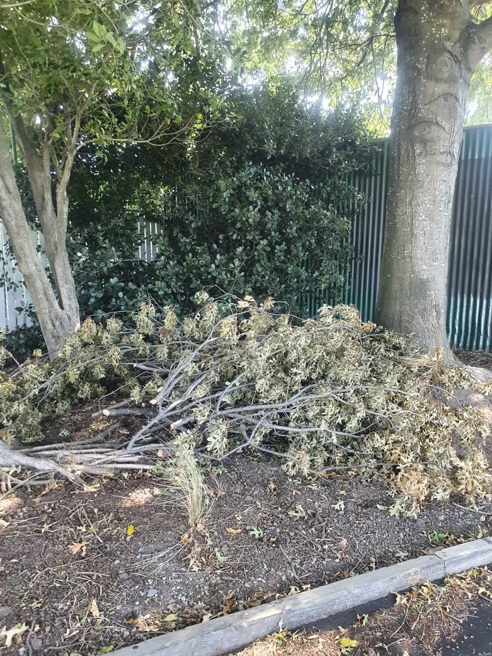 The photograph attached to this parks report