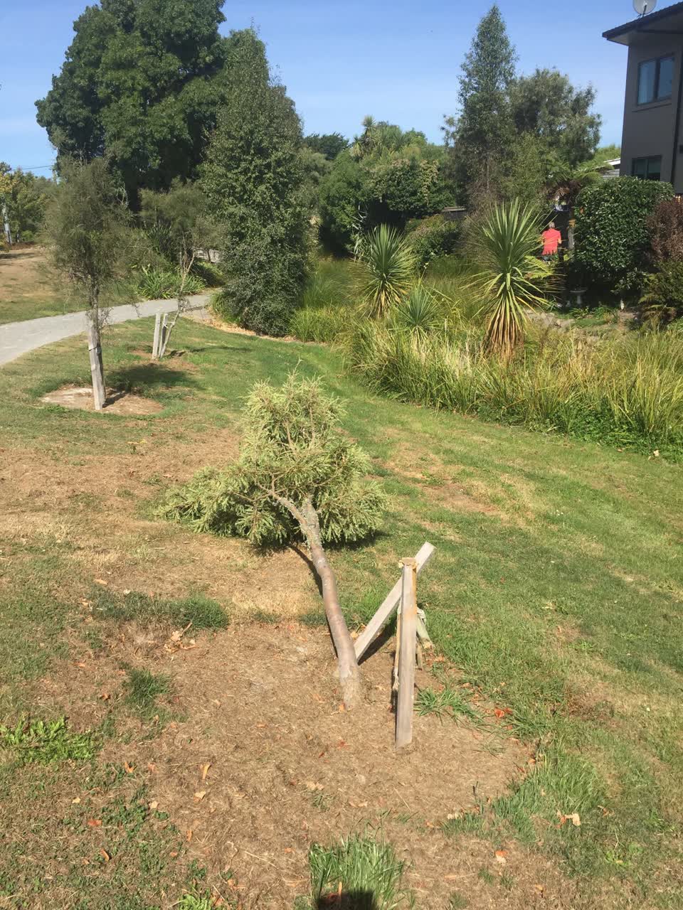 The photograph attached to this parks report