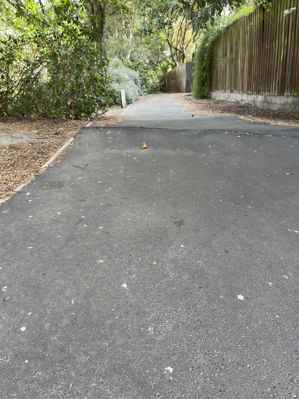 The photograph attached to this parks report