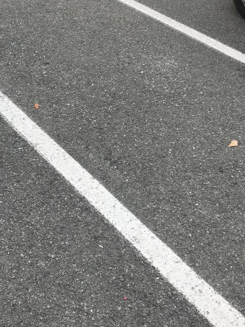 Roading/Streets, a report photo