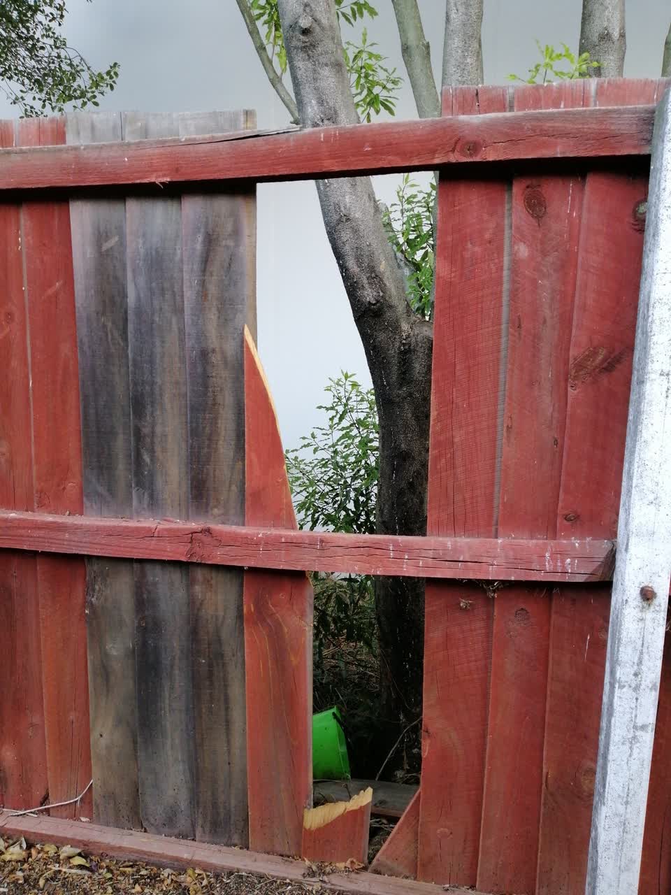 The photograph attached to this parks report