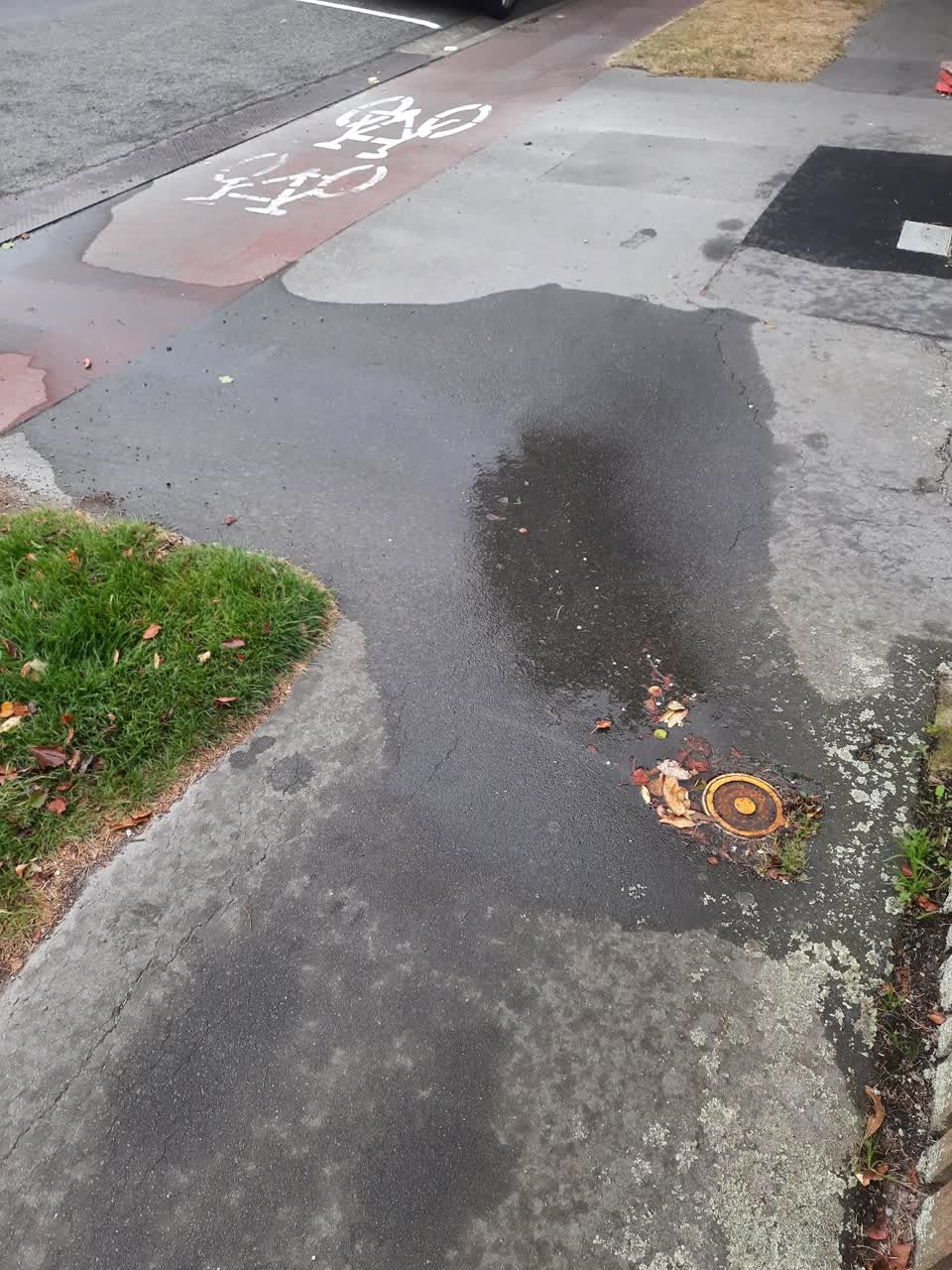 The photograph attached to this roading/streets report