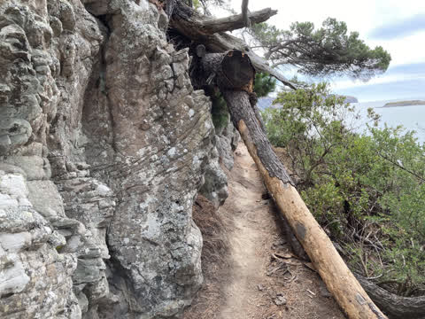 Parks, a report photo