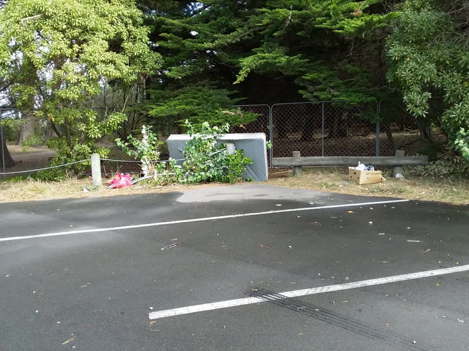 The photograph attached to this parks report