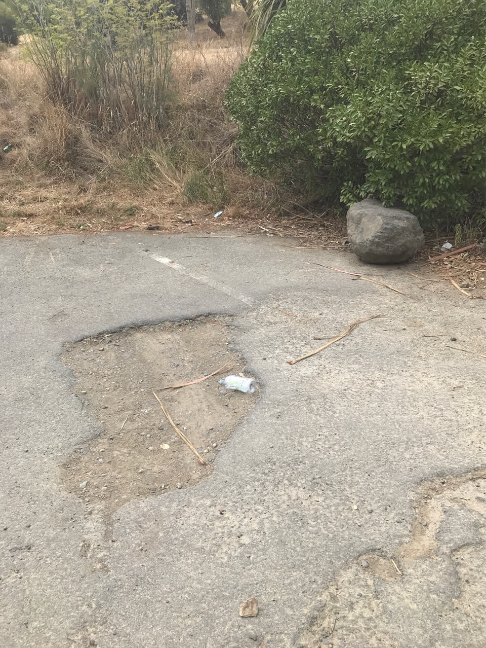 The photograph attached to this rubbish/recycling report