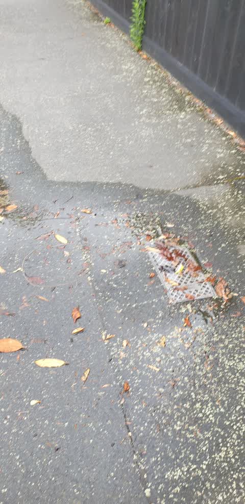 Water Leak, a report photo