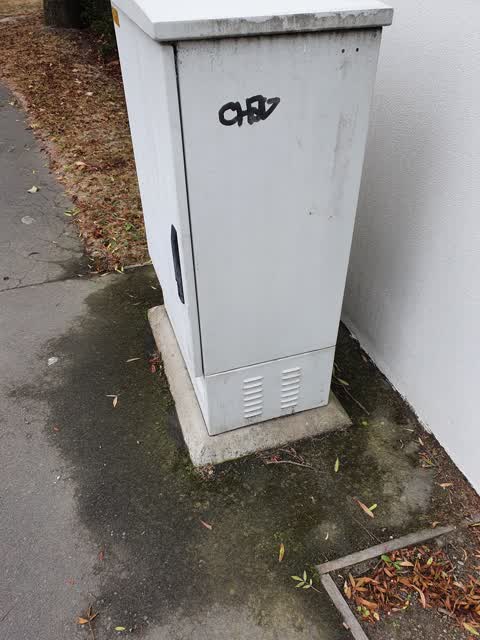 Graffiti, a report photo