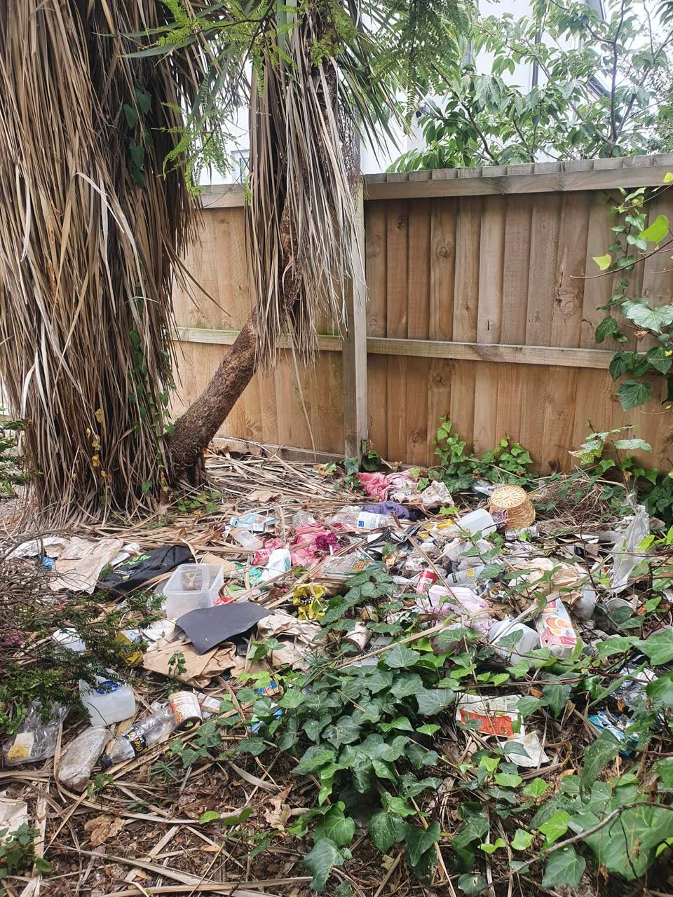The photograph attached to this parks report