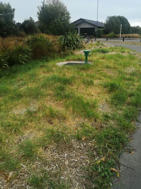 Parks — a report photo