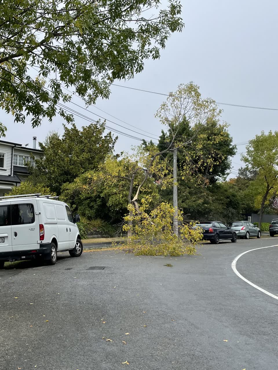 The photograph attached to this roading/streets report