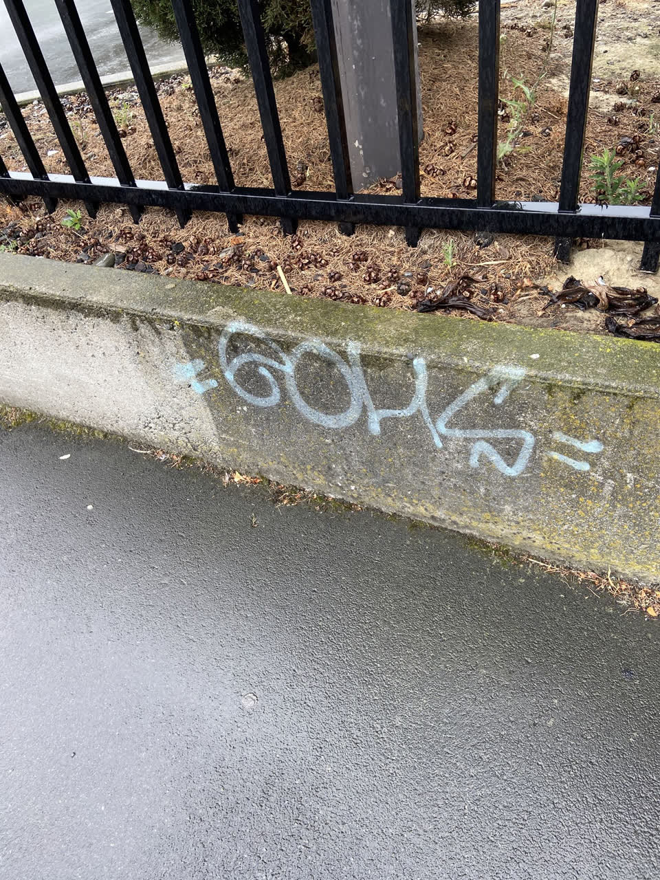 The photograph attached to this graffiti report