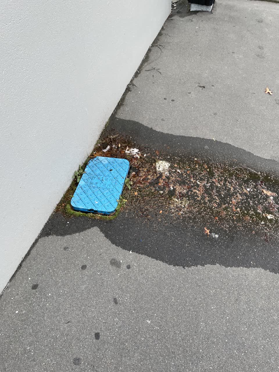 The photograph attached to this flooding report