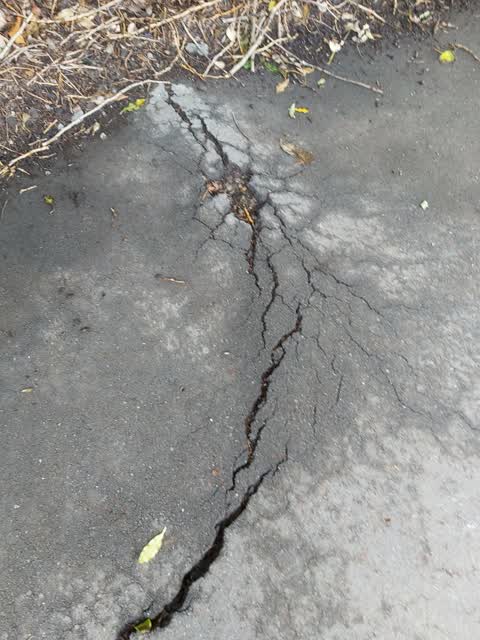 Roading/Streets, a report photo