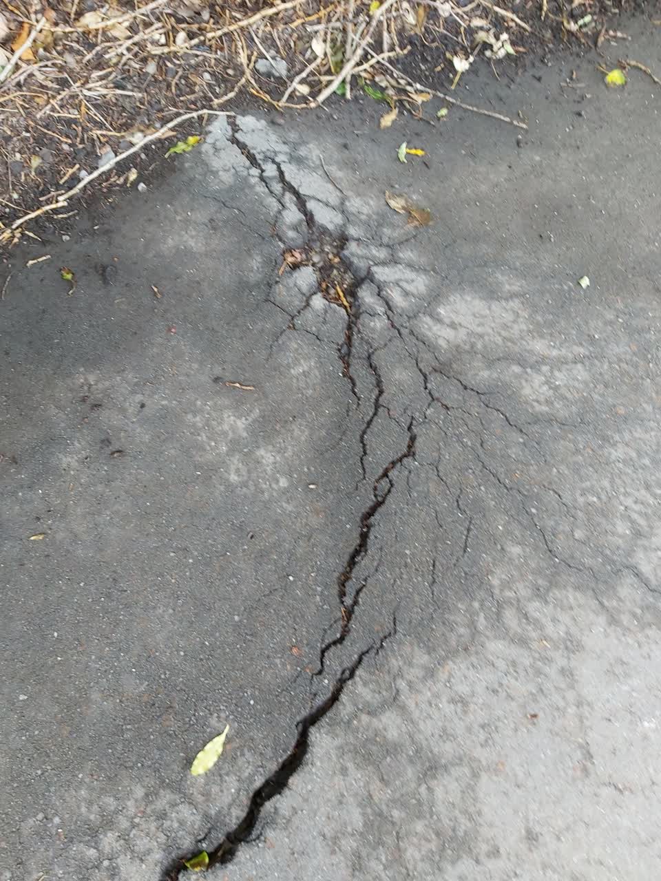 The photograph attached to this roading/streets report