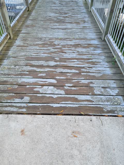 Roading/Streets, a report photo