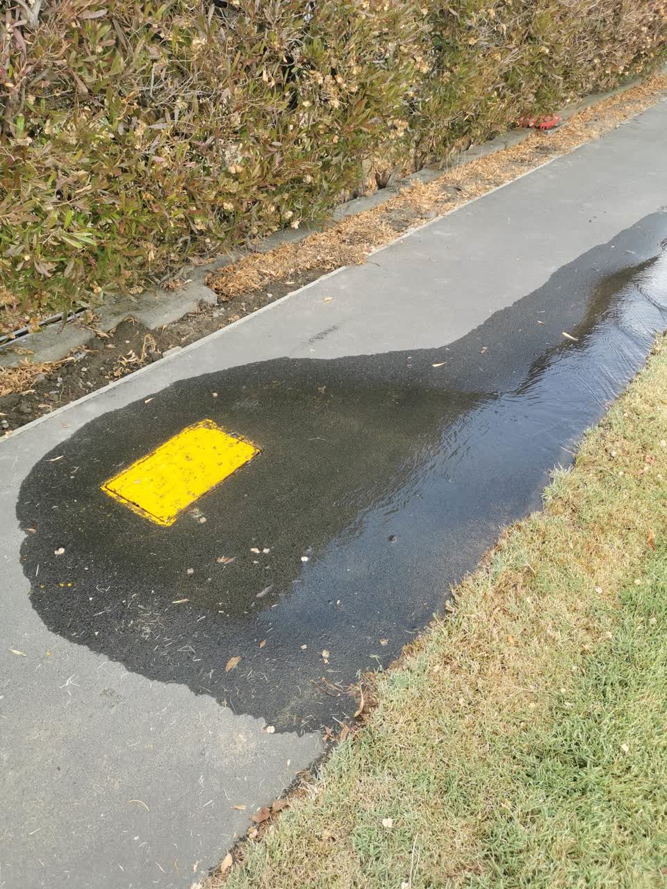 The photograph attached to this flooding report