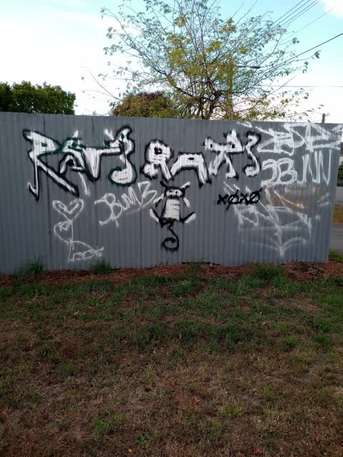 Graffiti, a report photo