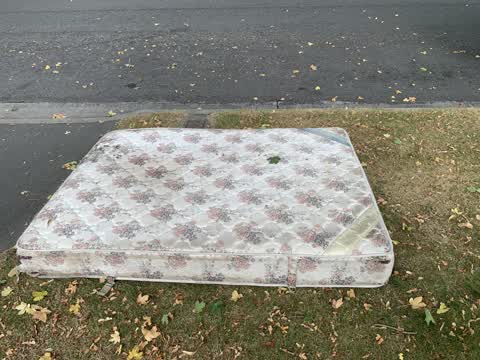 Roading/Streets, a report photo
