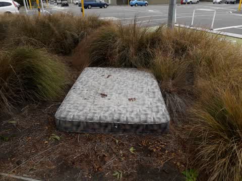 Parks, a report photo