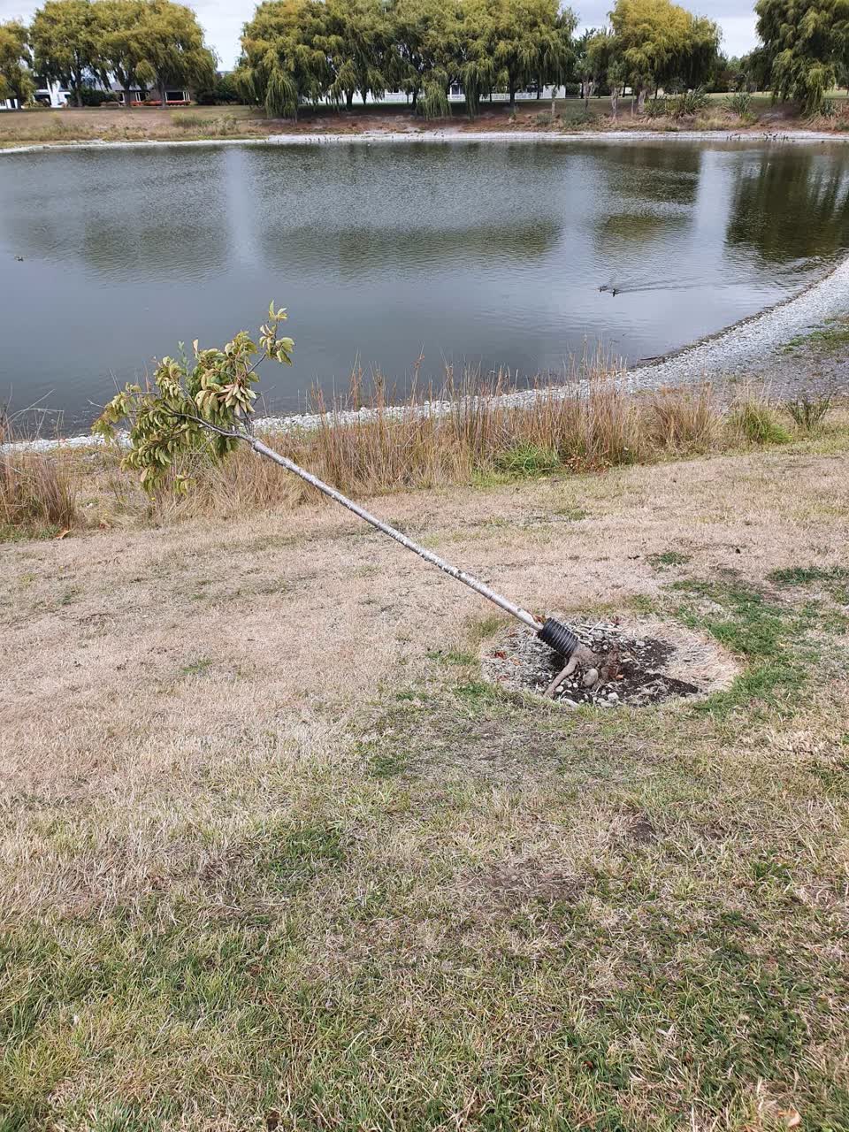 The photograph attached to this parks report