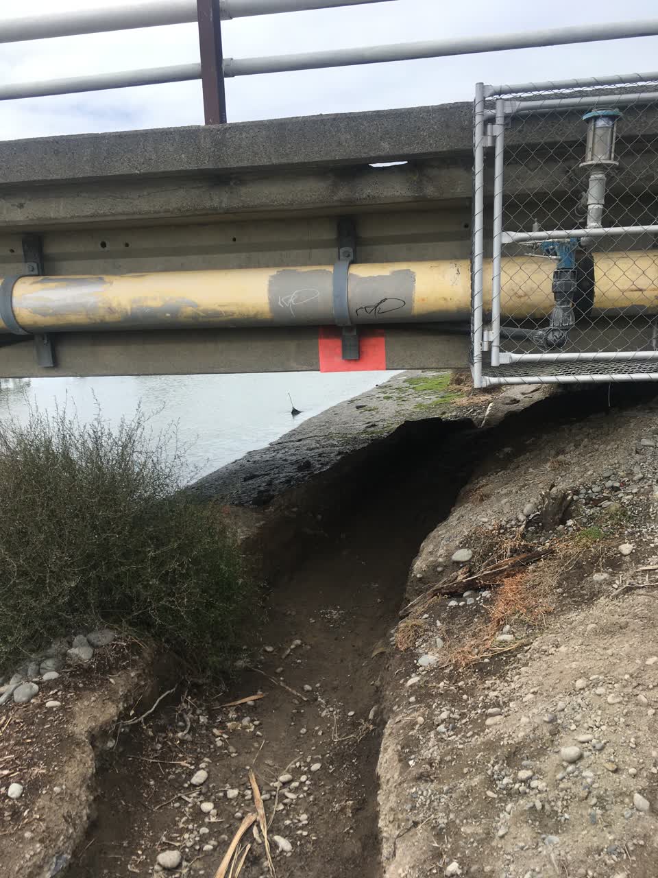 The photograph attached to this parks report