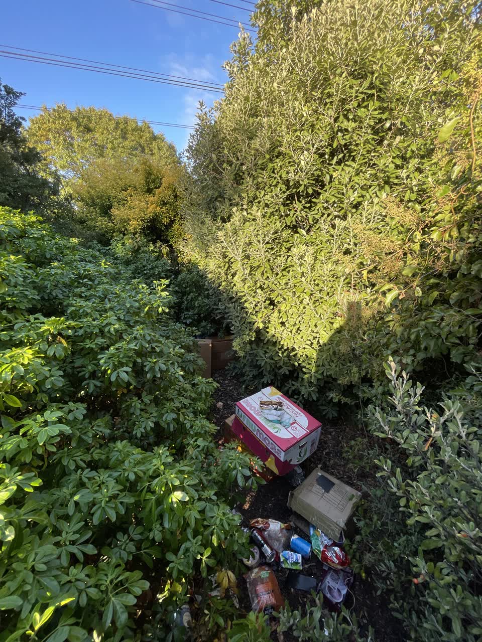 The photograph attached to this rubbish/recycling report