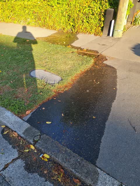 Water Leak, a report photo